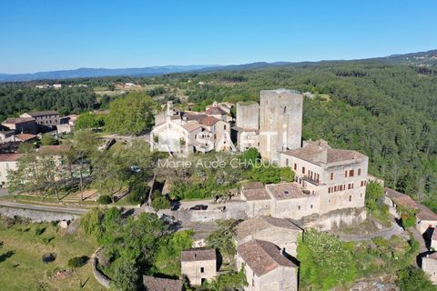   Ch�teau M�di�val XII�me-15 pi�ces - 800m2 Propri�t�/ch�teau - 15 + pi�ce(s) - 800 m�