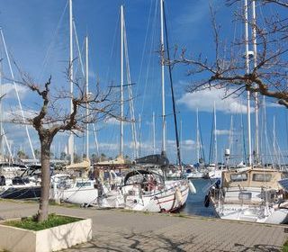  Appartement � vendre 2 pi�ces 28 m�