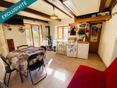   Charmante petite maison avec terrasse aux Fr�aux Maison - 2 pi�ce(s) - 28 m�