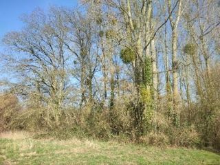  Terrain � vendre 5805 m�