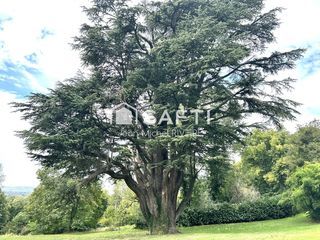  Maison � vendre 15 + pi�ces 900 m�