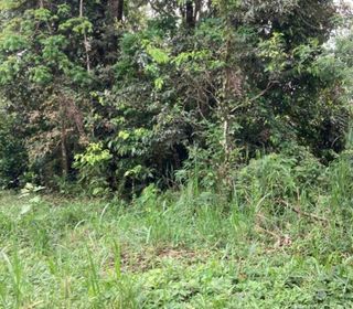  Terrain � vendre 5000 m�