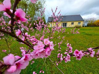  Maison � vendre 8 pi�ces 140 m�