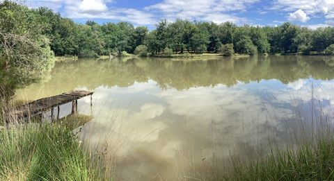   Magnifique maison p�rigourdine avec sa grande parcelle de bois et �tang Maison - 8 pi�ce(s) - 174 m�