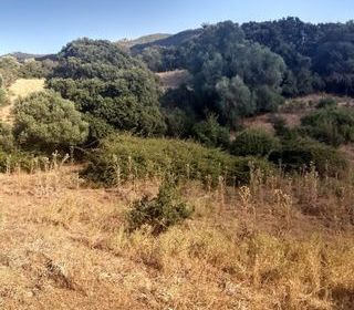  Terrain � vendre 3400 m�