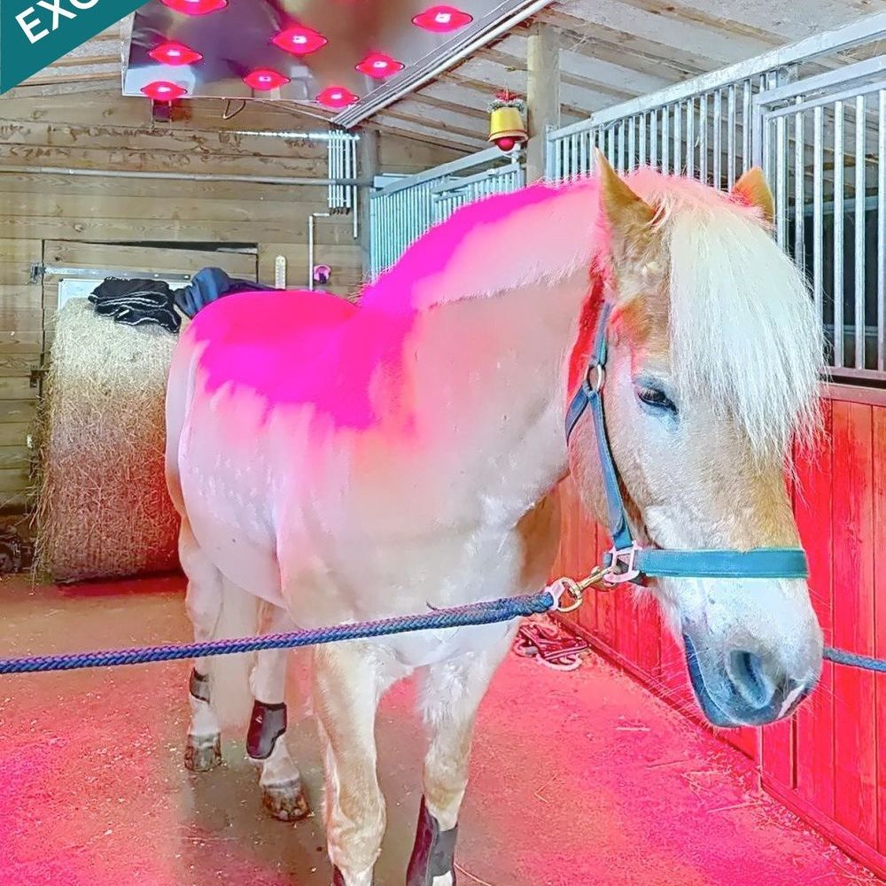 � vendre  Maison Buding (57920)