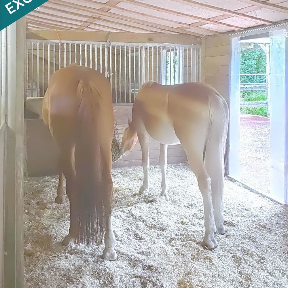 � vendre  Maison Buding (57920)