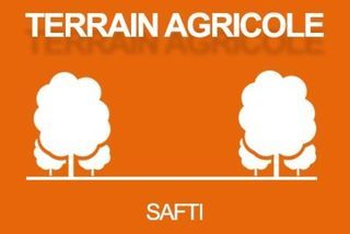  Terrain � vendre 8925 m�