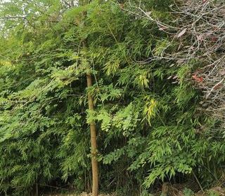  Maison � vendre 4 pi�ces 102 m�