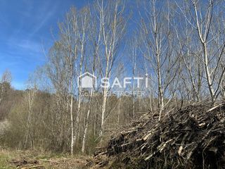  Terrain � vendre 31186 m�