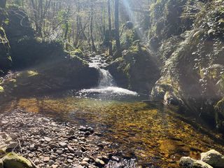  Maison � vendre 15 + pi�ces 321 m�