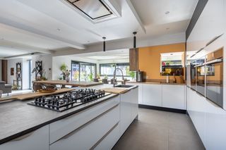  Maison � vendre 15 + pi�ces 480 m�