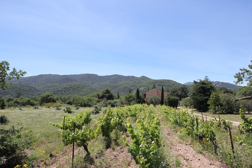 � vendre  Maison Argel�s-sur-Mer (66700)