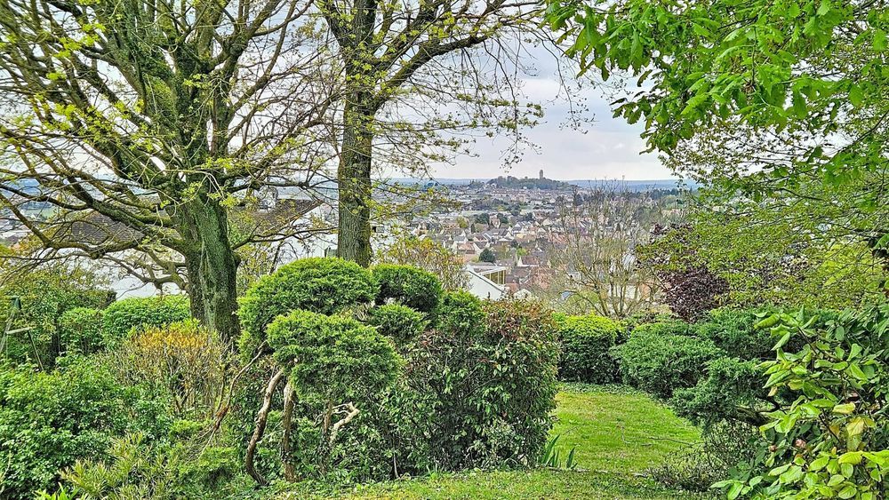 � vendre  Maison La Ville-du-Bois (91620)