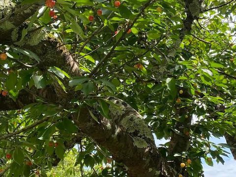   Petit PRIX Maison - 5 pi�ce(s) - 96 m�