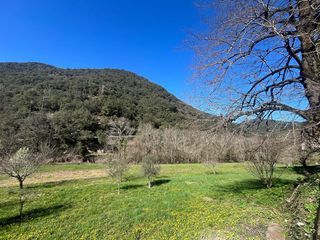  Maison � vendre 15 + pi�ces 321 m�