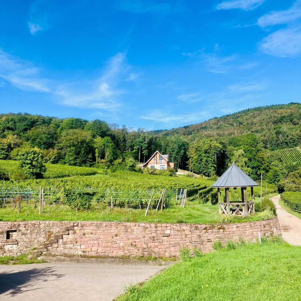 � vendre  Maison Ribeauvill� (68150)