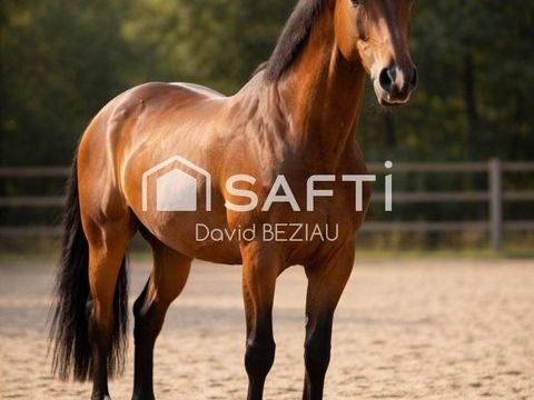 Dans la Presqu'&icirc;le gu&eacute;randaise - Sud 56 2631000 44350 Guerande