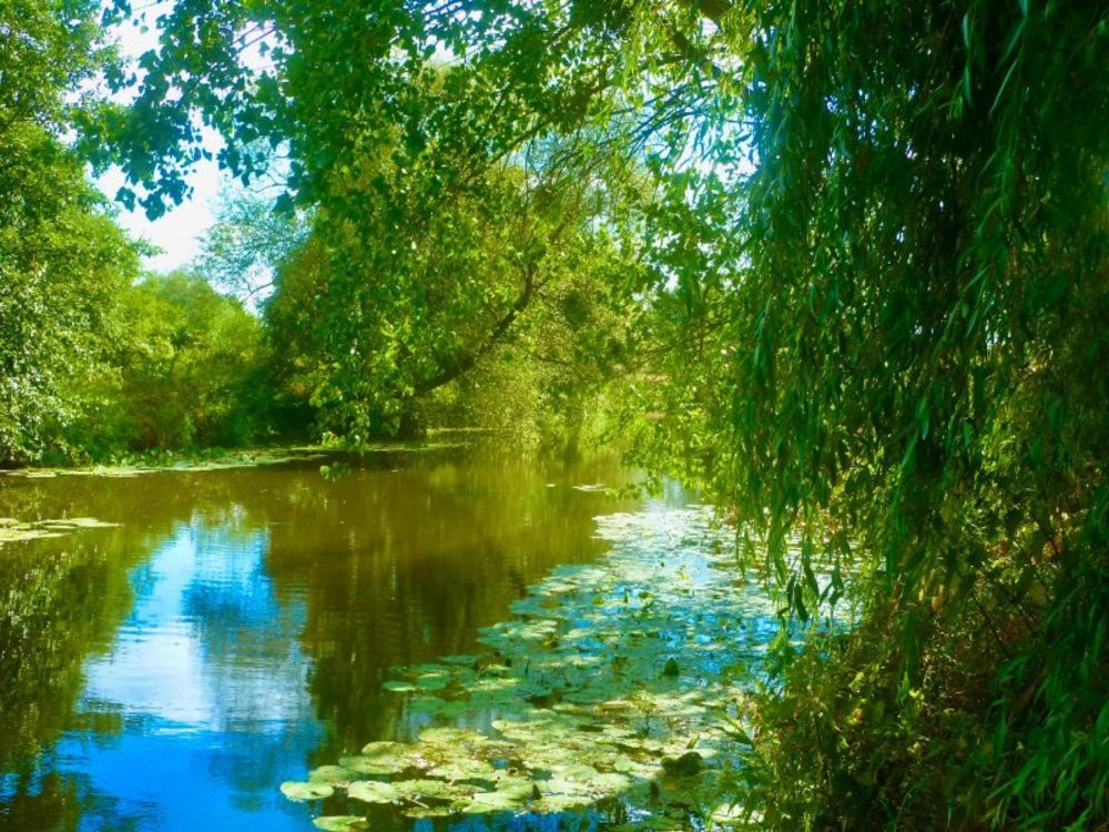 � vendre  Maison Palinges (71430)