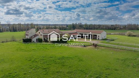   PROPRI�T� �QUESTRE � 4 HECTARES � MONTAUBAN Maison - 15 + pi�ce(s) - 454 m�