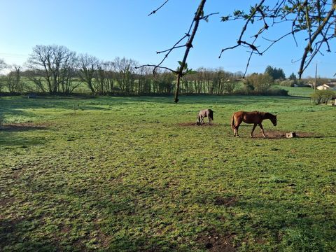   Propri�t� avec centre �questre sur plus de 3 hectares Maison - 4 pi�ce(s) - 146 m�