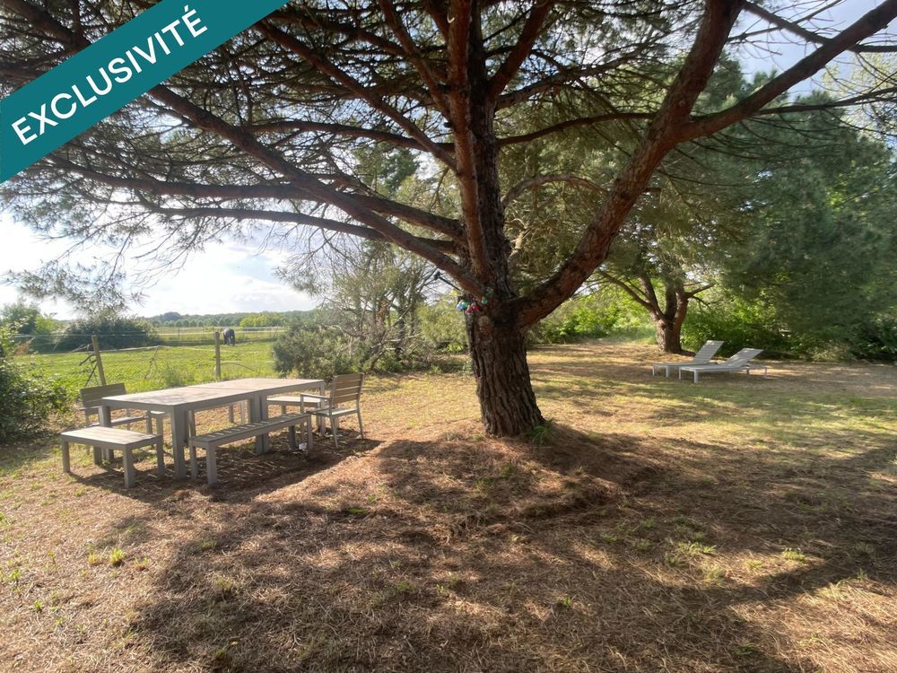 � vendre  Maison Cornebarrieu (31700)