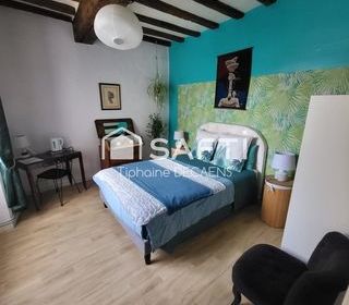  Maison � vendre 15 + pi�ces 310 m�