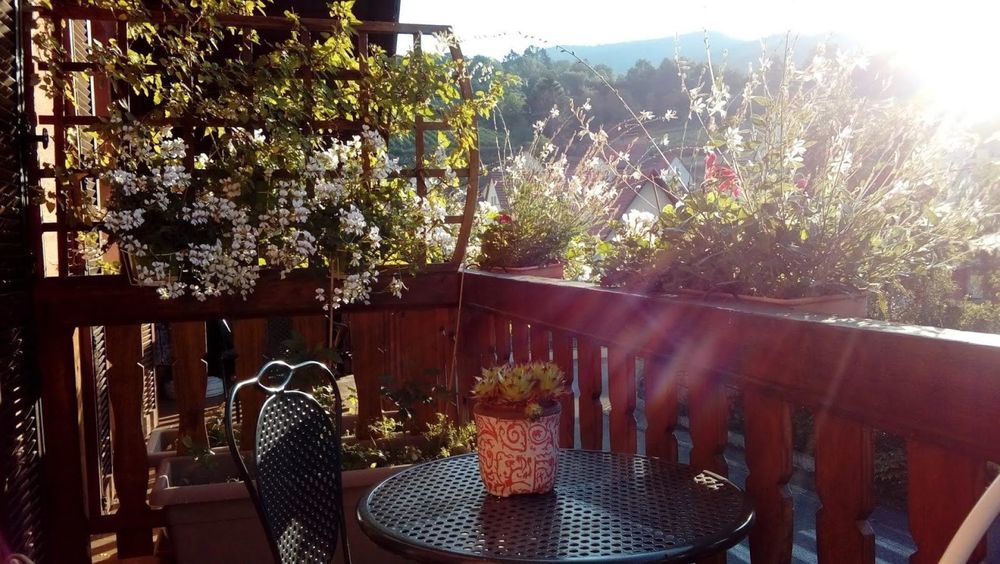 � vendre  Maison Kaysersberg (68240)