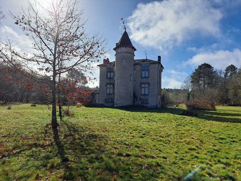   Ch�teau du 19�si�cles Maison - 10 pi�ce(s) - 298 m�