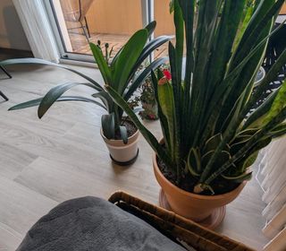  Appartement � vendre 3 pi�ces 63 m�