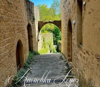  Maison � vendre 7 pi�ces 235 m�