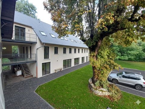   Gros potentiel locatif ou pour investisseur Maison - 12 pi�ce(s) - 350 m�