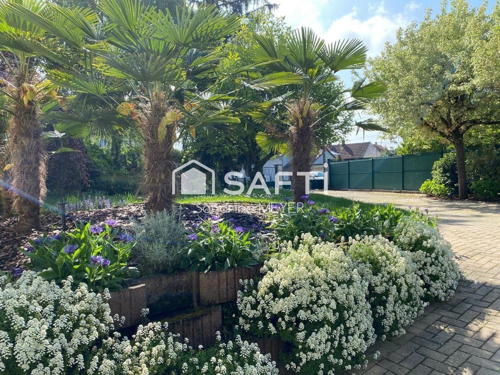 � vendre  Maison La Wantzenau (67610)