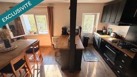   Coup de c�ur en centre-ville : T3 lumineux avec mezzanine am�nag�e Appartement - 3 pi�ce(s) - 66 m�