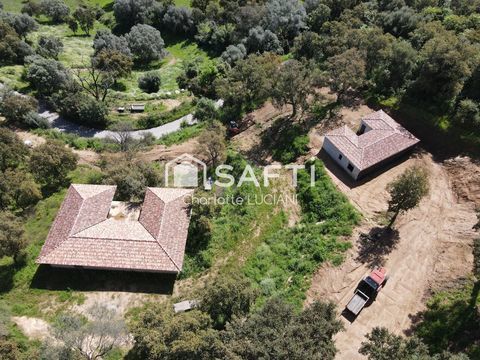   Maison vue Maquis Maison - 4 pi�ce(s) - 96 m�