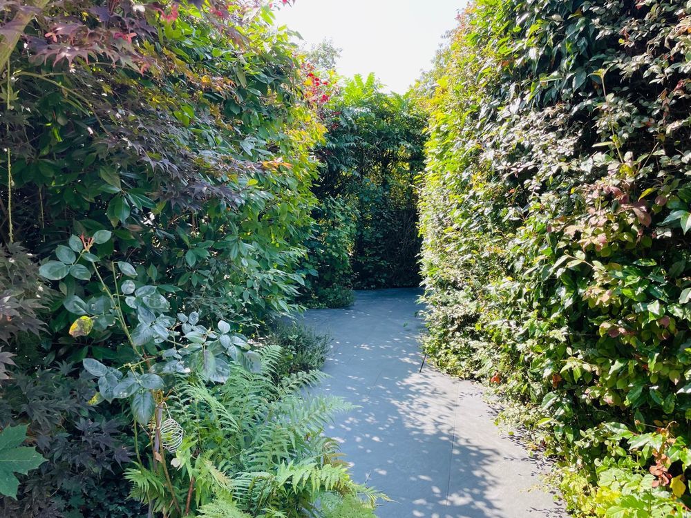 � vendre  Maison Bois-Guillaume (76230)