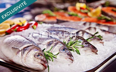 EMPLACEMENT N&deg;1 89000 83230 Bormes-les-mimosas