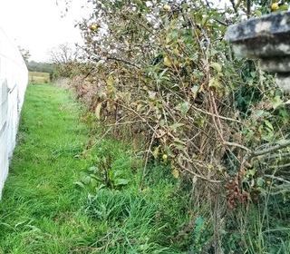  Maison � vendre 1 pi�ce 140 m�