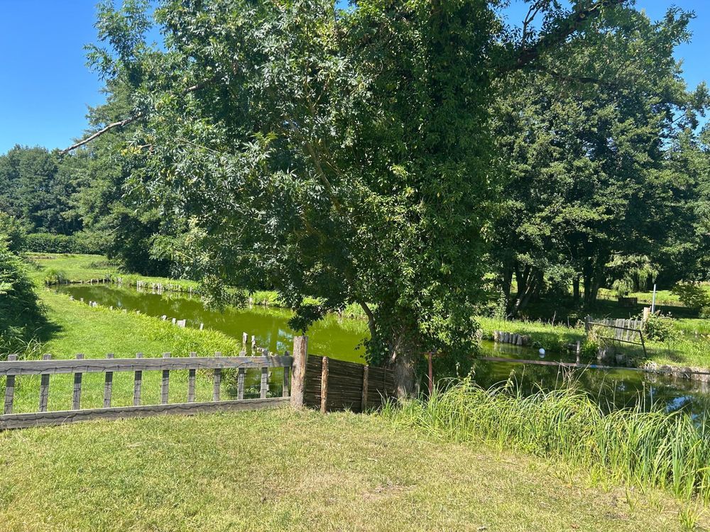 � vendre  Maison Tourouvre (61190)