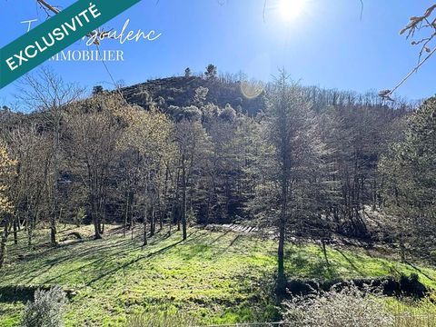   Propri�t� en bord de rivi�re Maison - 12 pi�ce(s) - 341 m�