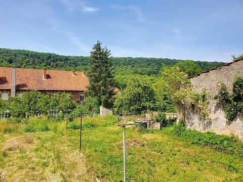   Maison Lorraine avec jardin et Garage Maison - 6 pi�ce(s) - 221 m�