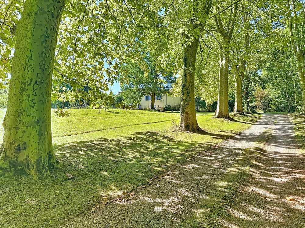 � vendre  Maison Mirepoix (09500)