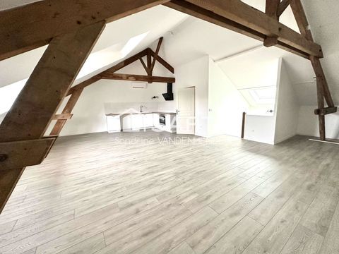   Appartement style LOFT � louer!! Appartement - 1 pi�ce(s) - 58 m�