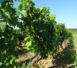  Terrain � vendre 2800 m�