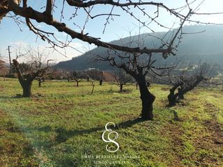  Terrain � vendre 2215 m�