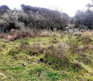  Terrain � vendre 6381 m�