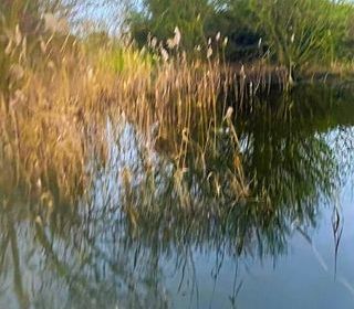  Terrain � vendre 3522 m�