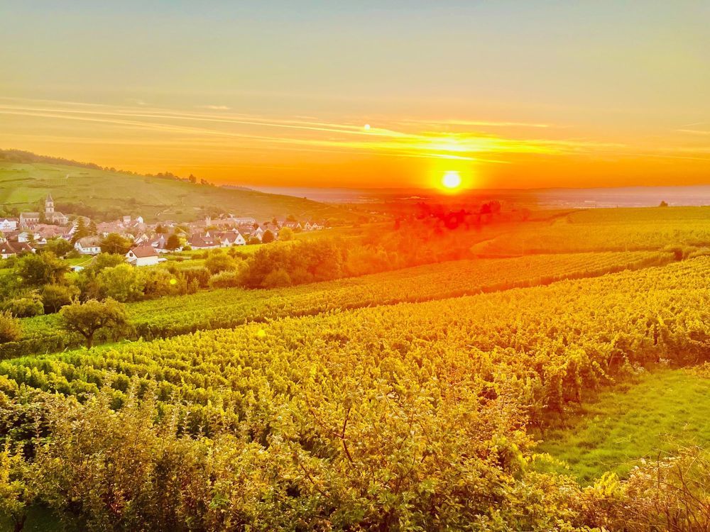 � vendre  Maison Ribeauvill� (68150)