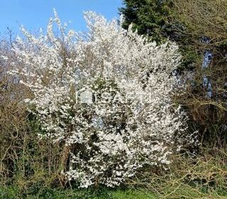  Terrain � vendre 3522 m�