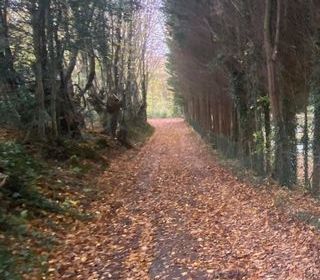  Terrain � vendre 2850 m�